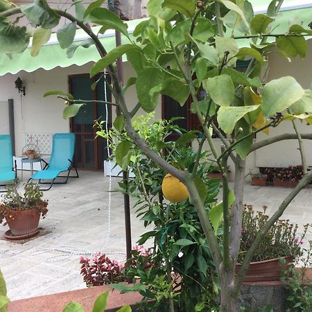 Oplontis' Garden - Holiday Apartment Near Pompeii Torre Annunziata Exterior foto