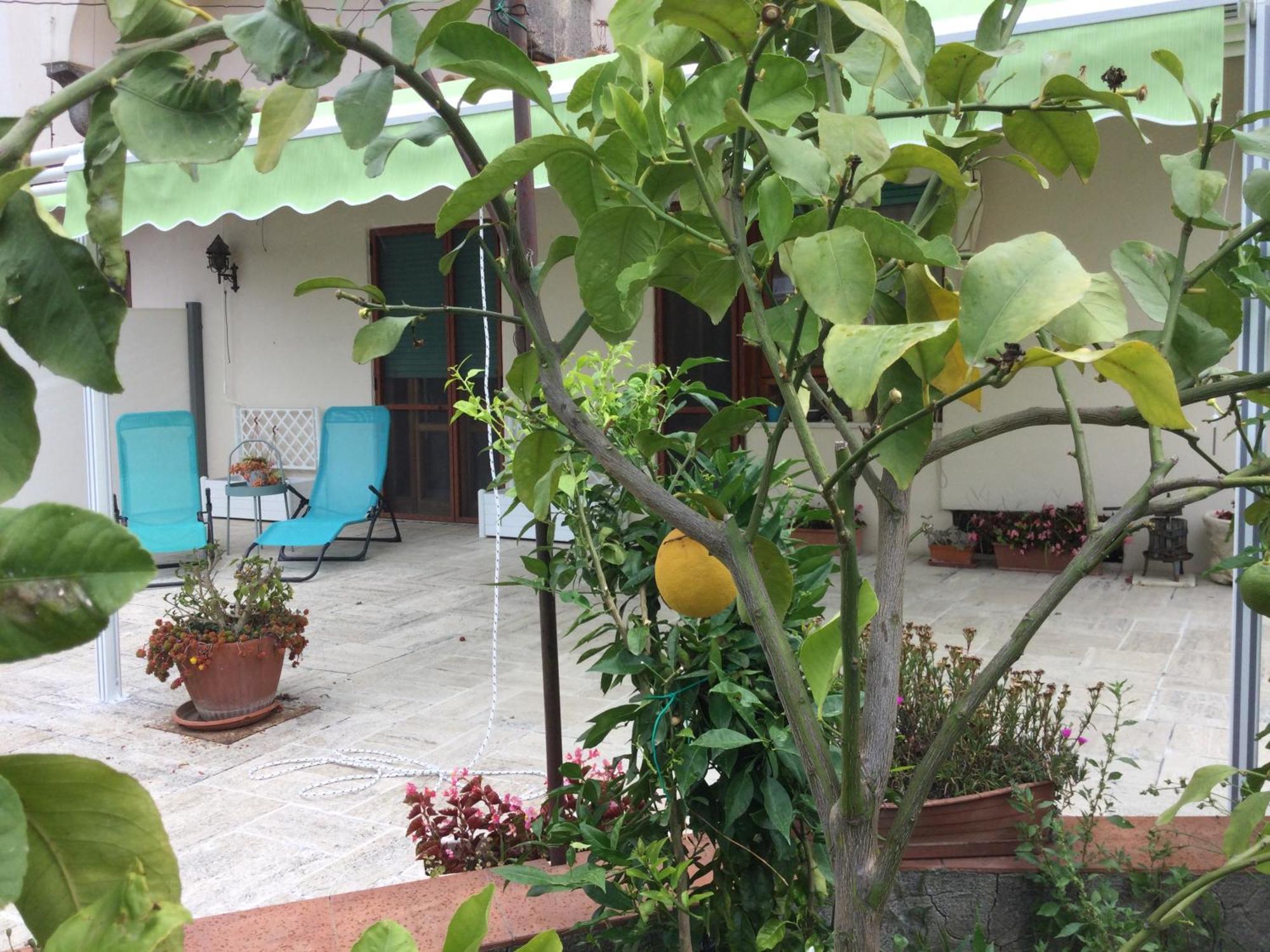 Oplontis' Garden - Holiday Apartment Near Pompeii Torre Annunziata Exterior foto